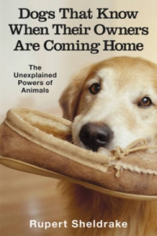 Könyv Dogs That Know When Their Owners Are Coming Home Rupert Sheldrake
