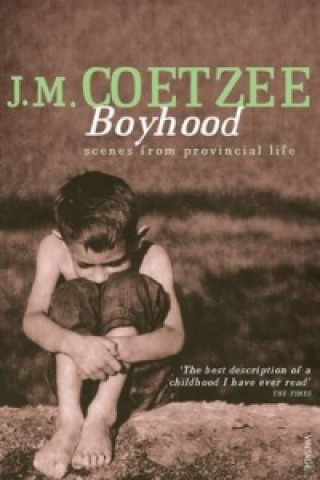 Książka Boyhood Coetzee John Maxwell