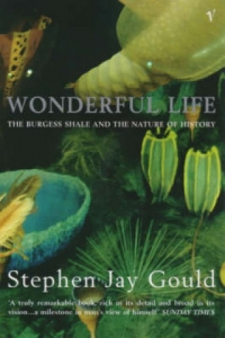 Книга Wonderful Life Stephen Jay Gould