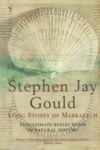 Kniha Lying Stones of Marrakech Stephen Jay Gould