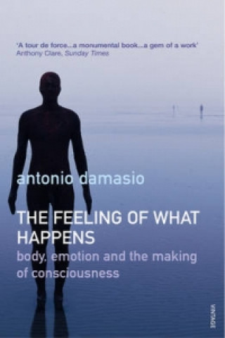 Książka Feeling Of What Happens Antonio Damasio