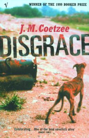Книга Disgrace J M Coetzee