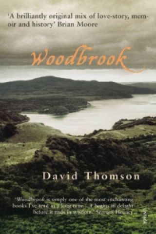 Kniha Woodbrook David Thomson