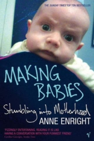 Könyv Making Babies Anne Enright