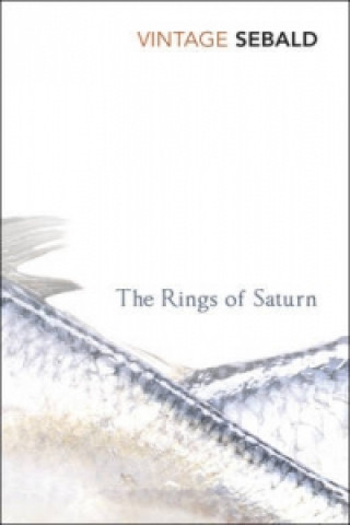 Książka Rings of Saturn Winfried Georg Sebald