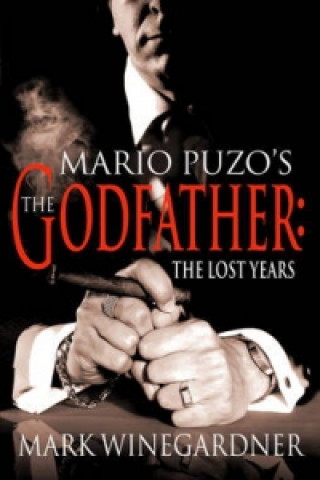 Könyv Godfather: The Lost Years Mark Winegardner