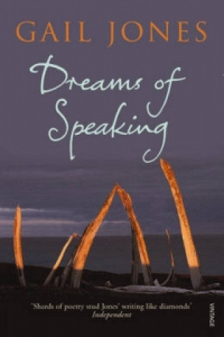 Книга Dreams of Speaking Gail Jones