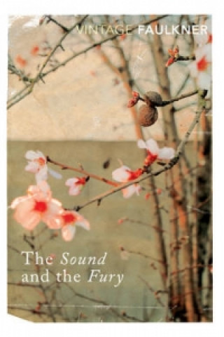 Könyv Sound and the Fury William Faulkner