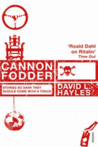 Kniha Cannon Fodder David L Hayles