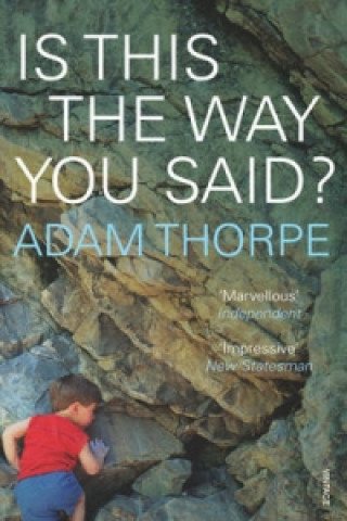 Carte Is This The Way You Said? Adam Thorpe