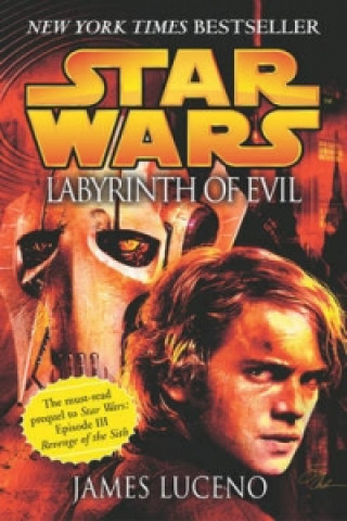 Könyv Star Wars: Labyrinth of Evil James Luceno