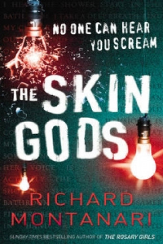 Książka Skin Gods Richard Montanari