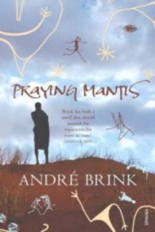Könyv Praying Mantis Andre Brink