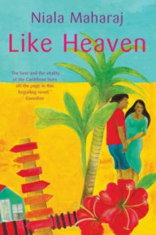 Buch Like Heaven Niala Maharaj