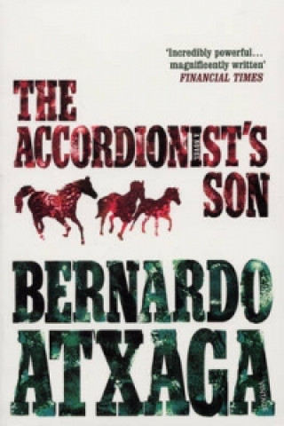 Könyv Accordionist's Son Bernardo Atxaga