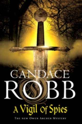 Kniha Vigil of Spies Robb Candace