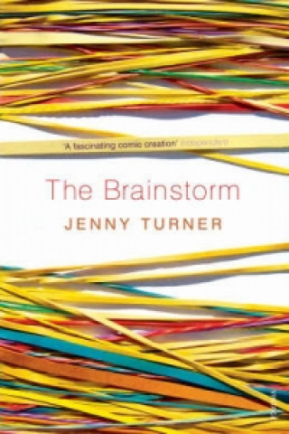 Kniha Brainstorm Jenny Turner