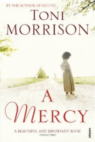 Kniha Mercy Toni Morrison