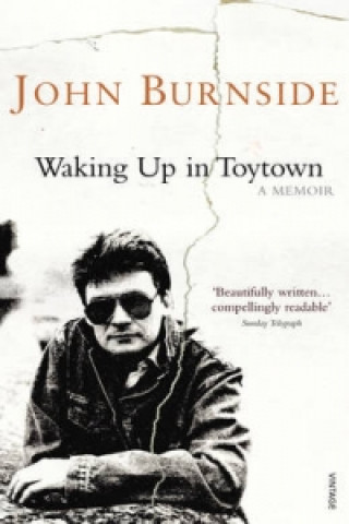 Libro Waking Up in Toytown John Burnside