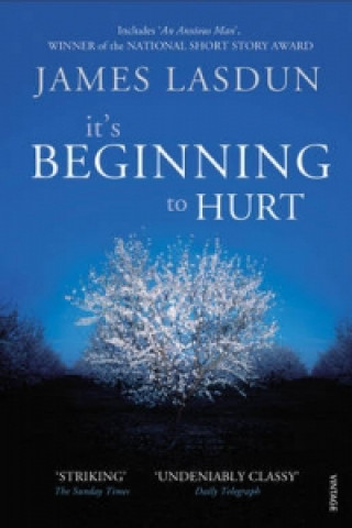 Kniha It's Beginning To Hurt James Lasdun