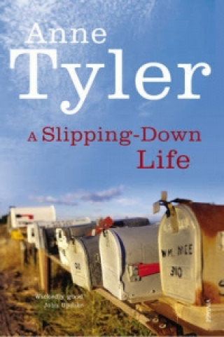 Kniha Slipping Down Life Anne Tyler