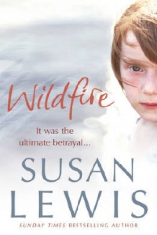 Knjiga Wildfire Susan Lewis