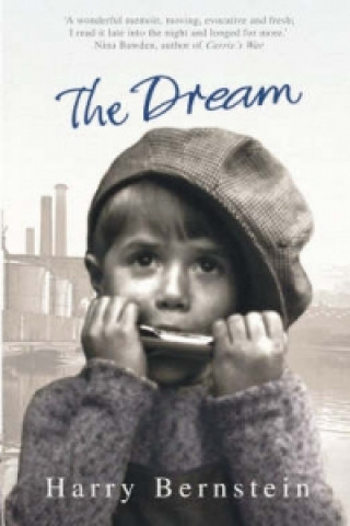 Книга Dream Harry Bernstein