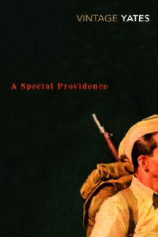 Книга Special Providence Richard Yates