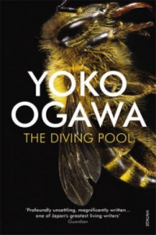 Kniha Diving Pool Yoko Ogawa