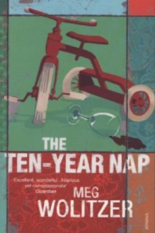 Kniha Ten-Year Nap Meg Wolitzer