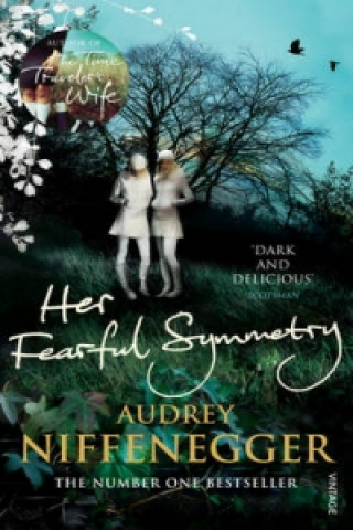 Kniha Her Fearful Symmetry Audrey Niffenegger