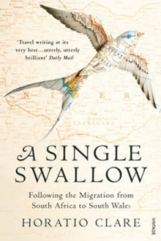 Carte Single Swallow Horatio Clare