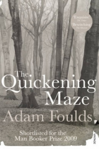 Kniha Quickening Maze Adam Foulds