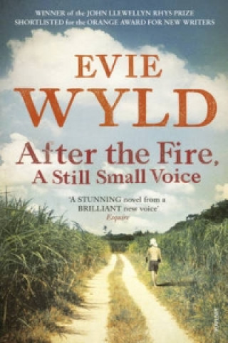Knjiga After the Fire, A Still Small Voice Evie Wyld