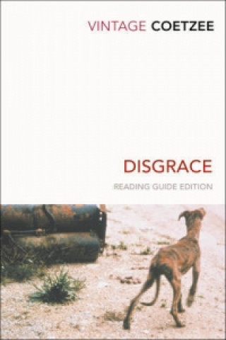 Kniha Disgrace J M Coetzee