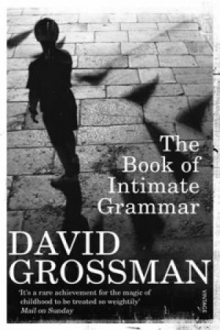 Könyv Book Of Intimate Grammar David Grossman