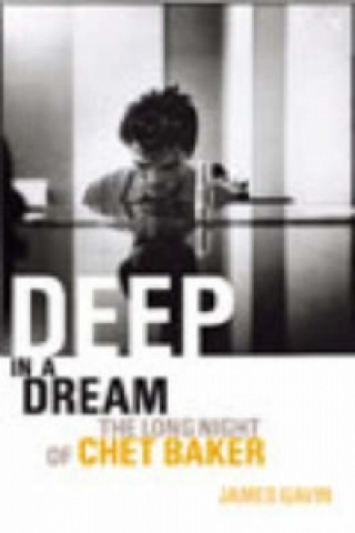 Kniha Deep In A Dream James Gavin