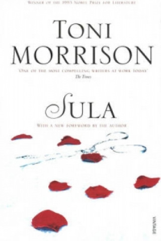 Kniha Sula Toni Morrison