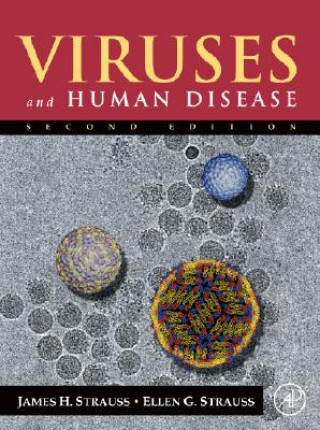Carte Viruses and Human Disease Strauss