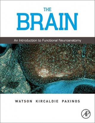 Kniha Brain Charles Watson