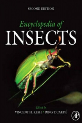 Książka Encyclopedia of Insects Vincent H. Resh