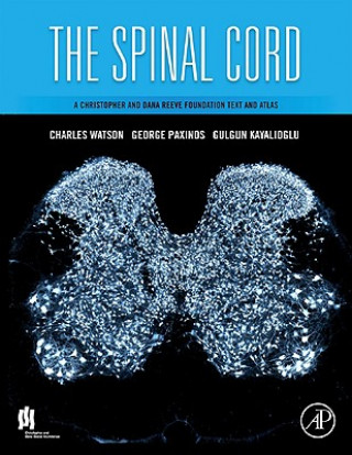 Könyv Spinal Cord Charles Watson
