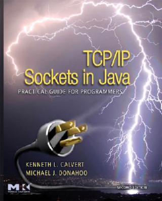 Kniha TCP/IP Sockets in Java Calvert