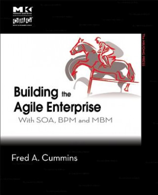 Könyv Building the Agile Enterprise Cummins