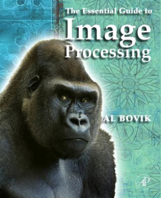 Carte Essential Guide to Image Processing Alan C Bovik