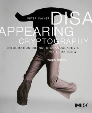 Kniha Disappearing Cryptography Peter Wayner