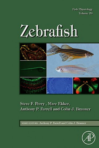 Book Fish Physiology: Zebrafish Steve Perry