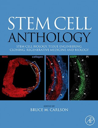 Book Stem Cell Anthology Robert Lanza