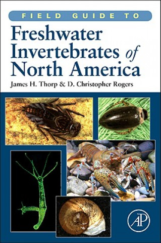 Kniha Field Guide to Freshwater Invertebrates of North America James Thorp