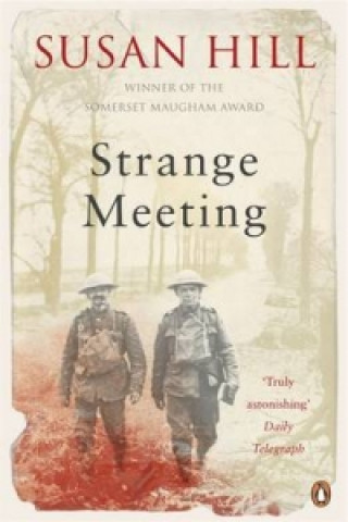 Kniha Strange Meeting Susan Hill